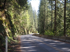 Carbon River Road
