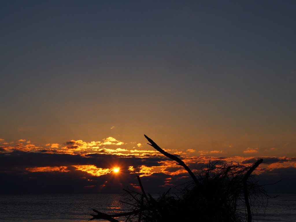Sun rising | OLYMPUS DIGITAL CAMERA | carlinsc | Flickr