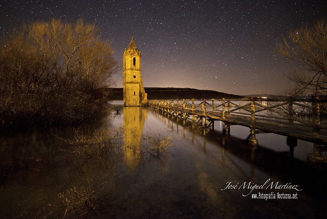 La catedral de los peces