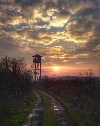 Everyday one shot! Sunset on hunting hut in the edge of forest. by malioli, square squareformat iphoneography instagramapp uploaded:by=instagram