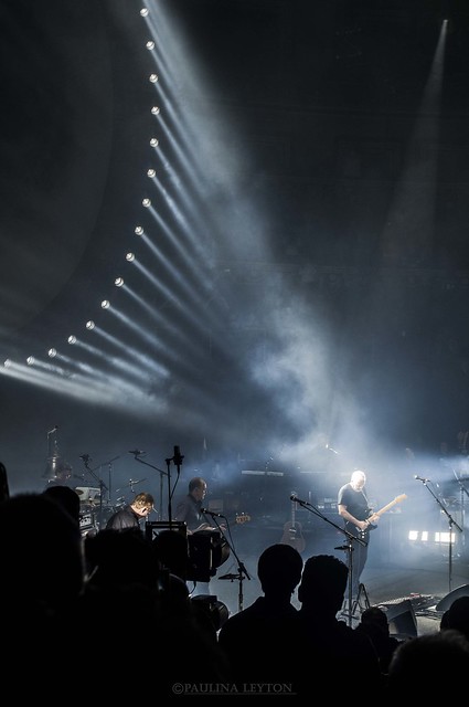 Mr  David Gilmour