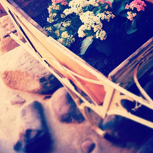 Wheelbarrow and flowers. | by fluttography