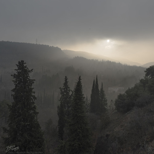 pabloferrariphotography fog mist sunset nature trees landscape tbilisi caucasus georgia pabloferrari paisaje niebla neblina arboles naturaleza mountains pabloferrariart pabloferrariphotographer