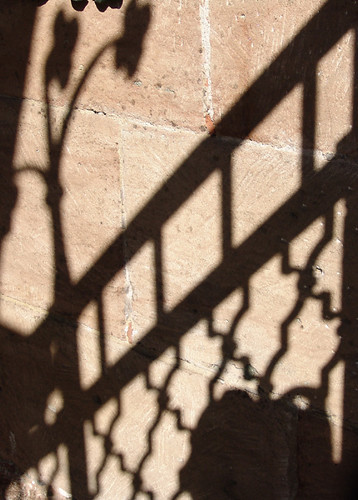 Shadow | by fotomanni.de