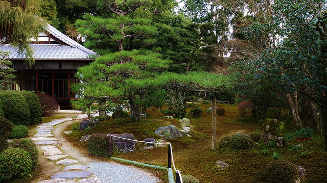 Winter Zen Garden - Tofukuji Sokusyu-in ( 1 )  / 京都東福寺即宗院