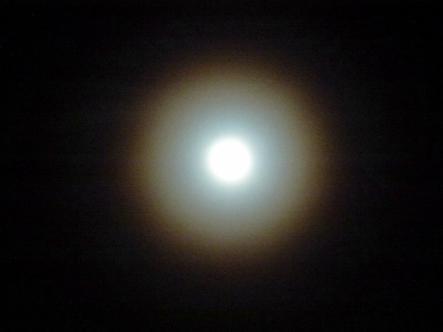 Christmas moon 1