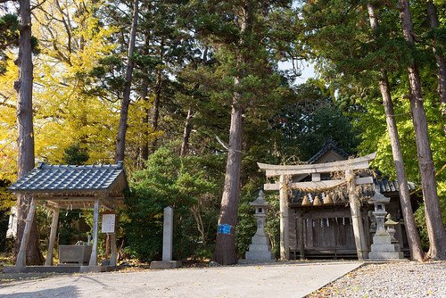 2015 新潟県 旅行 粟島 粟島浦村 離島 鳥居 日本 travel japan island niigata awashima shrine