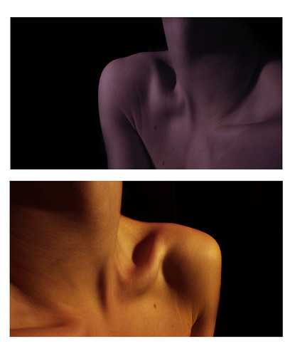 Bone structure. | by ella.pelloquin