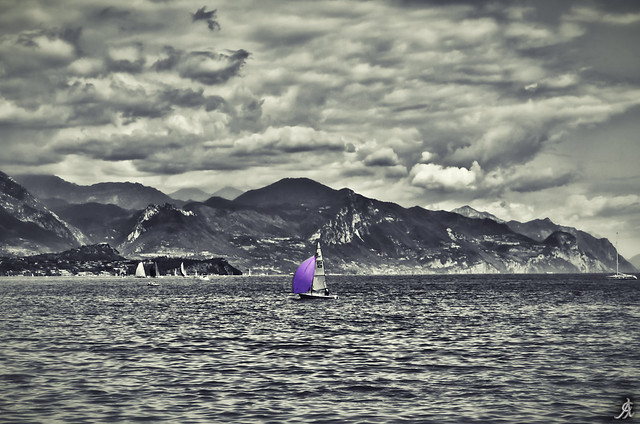 Purple sailing