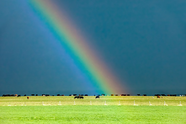 Rainbow Pasture