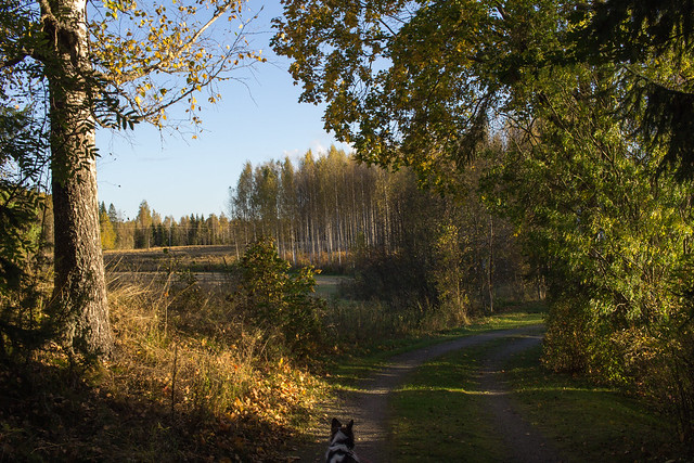 2015-10-finland-9.jpg