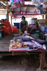 Fresh Fish - Bawlakhe market