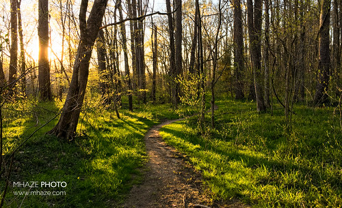 sunset green nature forest nc spring hiking path northcarolina wanderlust trail sunbeam springtime bynum iphoneography