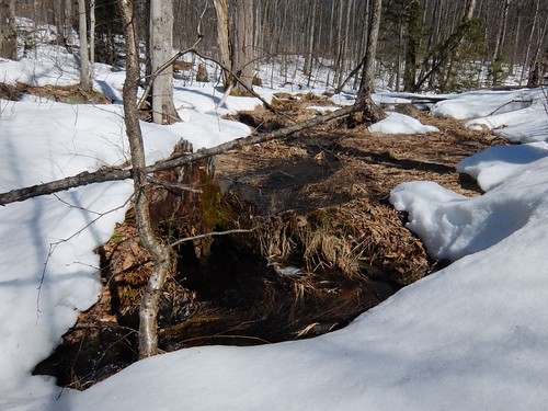 the spring II | frozen movement | by jmpershick