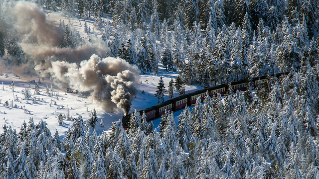 Steam train in the forest