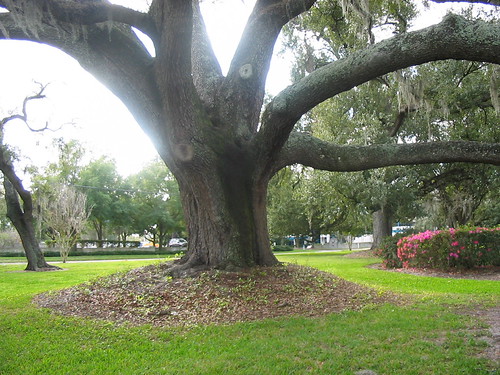 Constitution Green Park | by Kitzzy