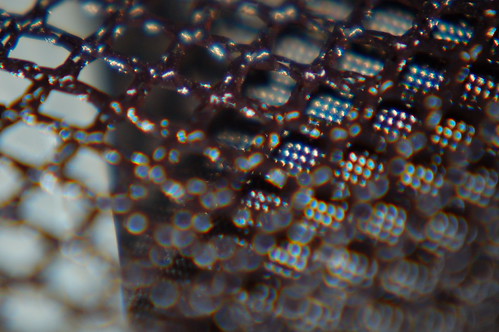 Mesh 3 | by larrydyde