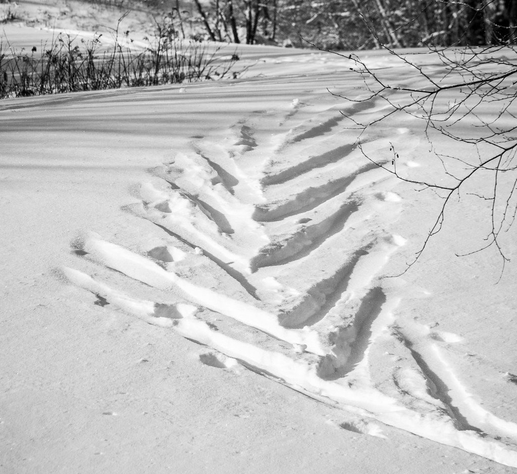 Ski tracks. Фото Лыжни елочкой.
