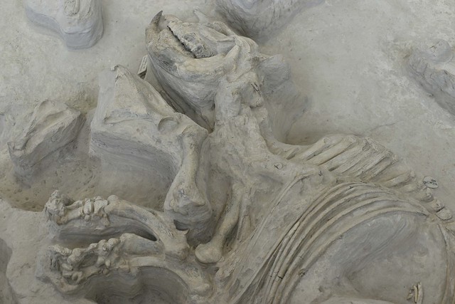 Ashfall fossil beds 4