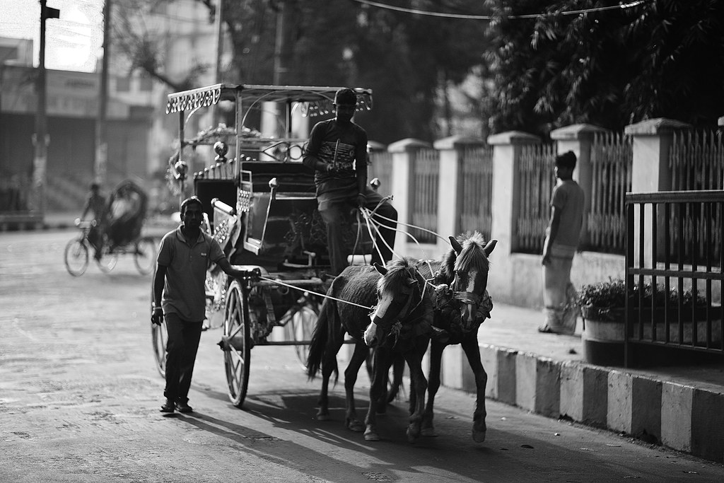 MULE-WAGON | Locally called a TOM TOM, used mainly in the Hi… | Flickr