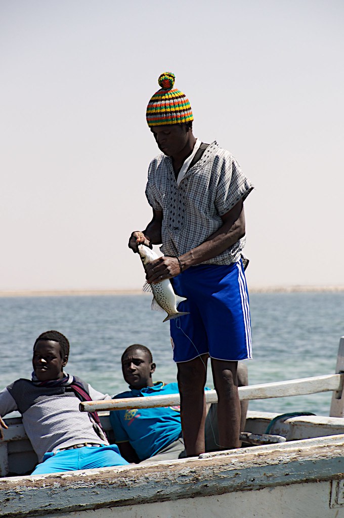 035 - Cruise to Tidra Island, Barc d'Arguin NP, Mauritania… | Flickr
