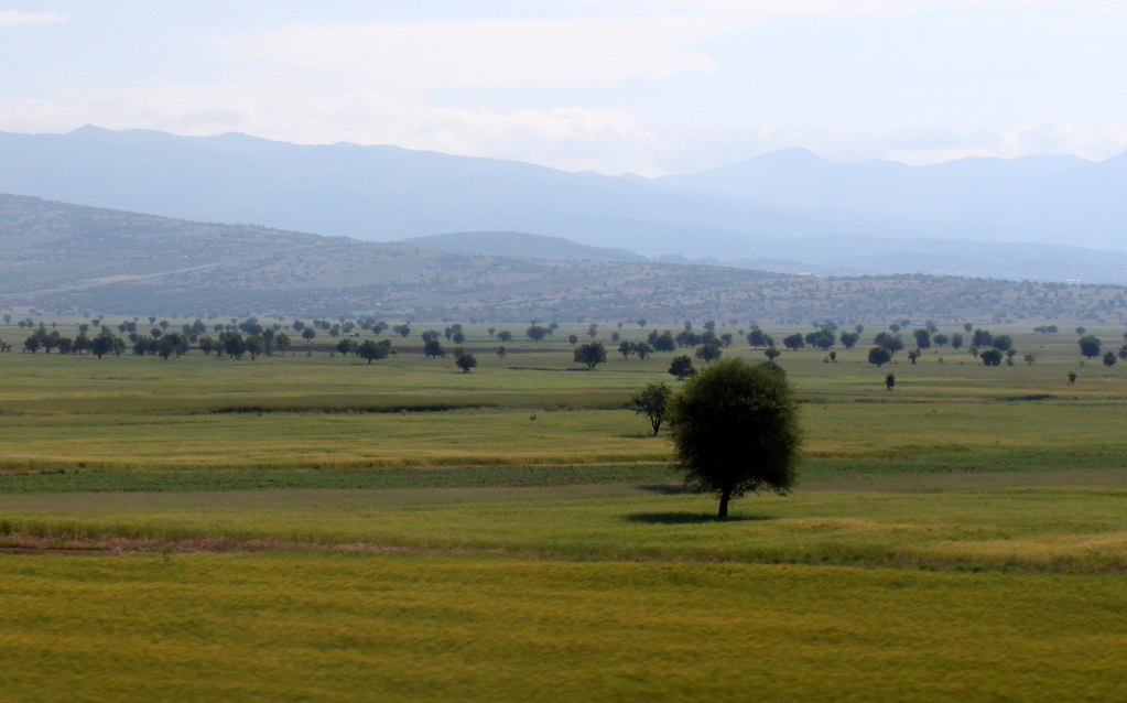turkish landscape (2)