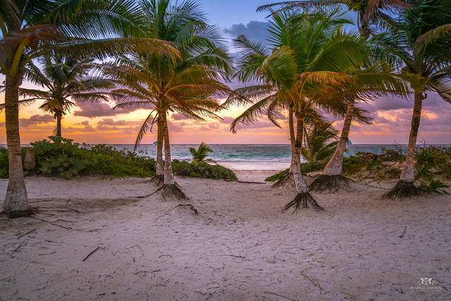 Sunrise, palms and beach in Tulum, Mexico