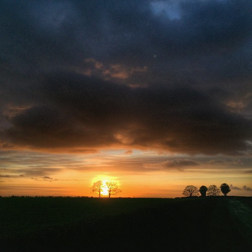 34/366 by scott.simpson99, Processed with Snapseed.
<a href="http://scottsimpsonphotography.co.uk" rel="nofollow">scottsimpsonp