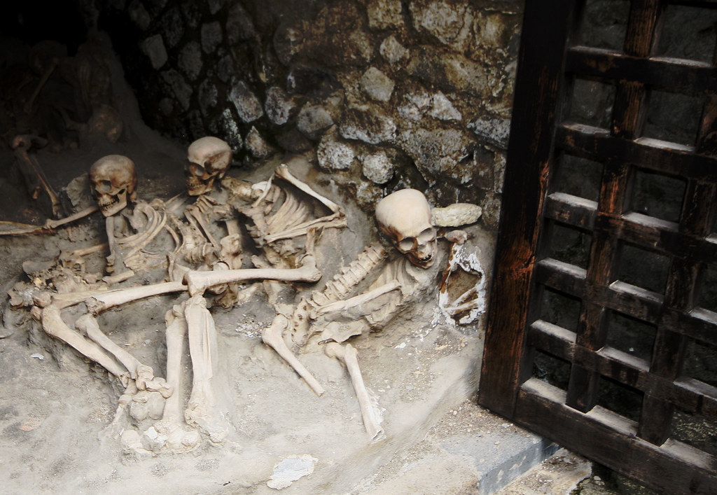 Skeletons in the' Boat Houses', Herculaneum | Located in the… | Flickr