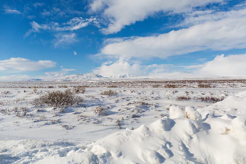 Icelandic Landscape