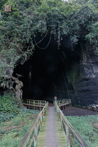 nature landscape rainforest wideangle caves malaysia borneo cave paysage sabah kinabatangan malaisie grandangle gomantong bornéo kinabatanganriver sungaikinabatangan gomantongcaves