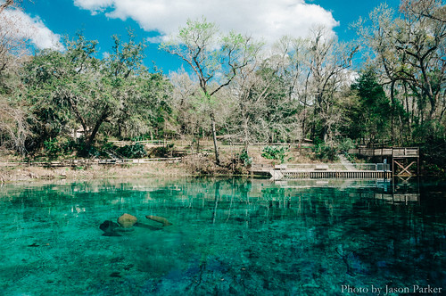 sun sunlight water sunshine swimming landscape florida outdoor scenic manatee springs polarizer waterscape fanningsprings floridaspring fanningspringsstatepark springhunters fanningspring aquiferious