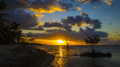 big pine key florida fl fla usa america water atlantic ocean nature sunrise sun clouds light morning dawn color mangrove sky deer run outdoor sunset colorful keys
