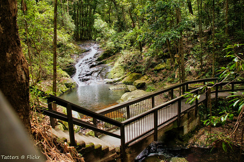 bridge creek fence waterfall australia bushwalking sunshinecoasthinterland