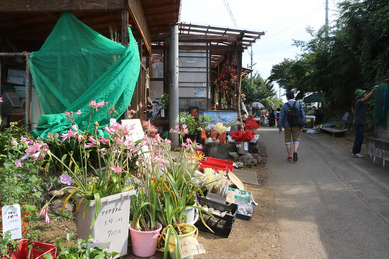 高麗の街