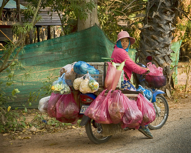 Cambodia:  Loads - Photo #19