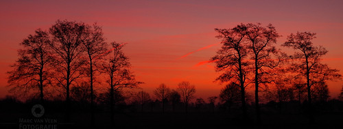 tree trees sky outdoor red orange sunrise dawn field colors color pentax k50 klarenbeek backlight smc sun serene landscape marcvanveen