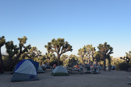 Campsites at Black Rock | by Joshua Tree National Park