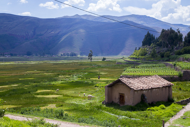 Peruvian landscape