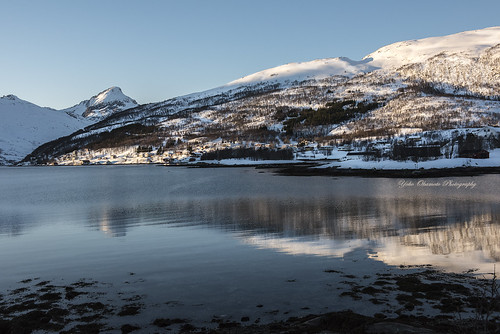 winter sea sky mountain snow reflection water beautiful norway landscape bay march nikon afternoon sunny fjord mountainside troms nikond810 20160310dsc0548n