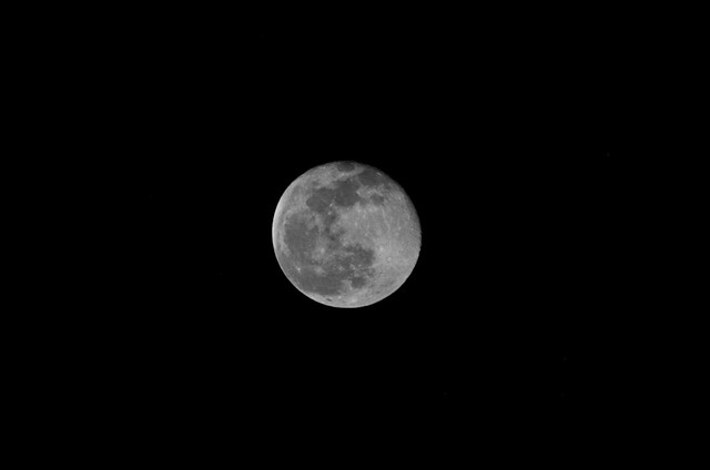 LunaTMAX