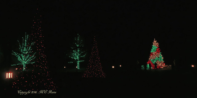 2015 Longwood Christmas:  Outdoors Nighttime Lights & Main Tree (1 of 3) at Longwood Gardens of Kennett Square, PA