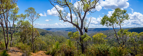 park landscape bush track national perth australiana bibbulmun kalamunda
