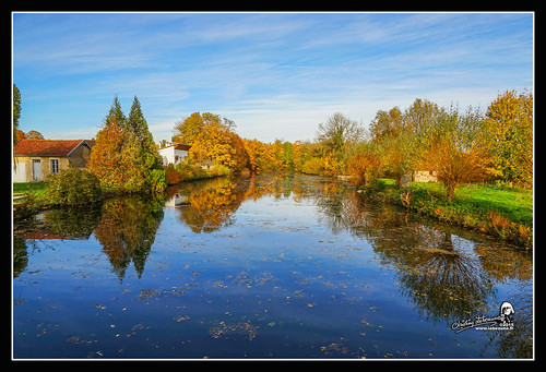 Bord de Seine, Sainte-Colombe-sur-Seine 21400 "2015" by Christian Labeaune, Automne en Châtillonnais, Bourgogne - Franche-Comté France.france paysages laseine 2015 châtillonnai