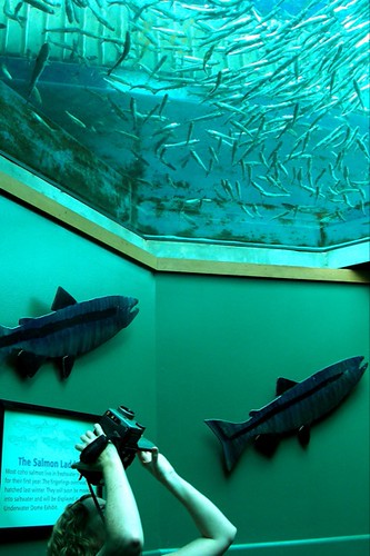 Under the Fish | by Derek K. Miller (1969-2011)
