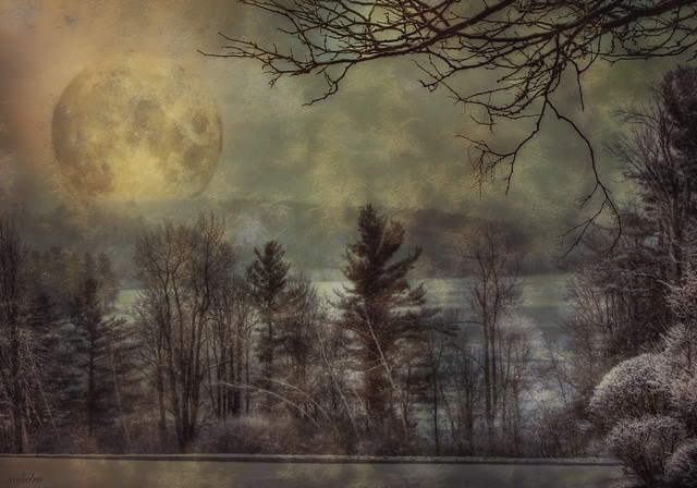 >> winter moon <<