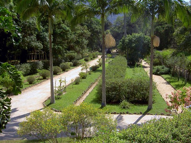 Rio's Botanical Gardem