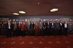 Catifa vermella dels VIII Premis Gaudí