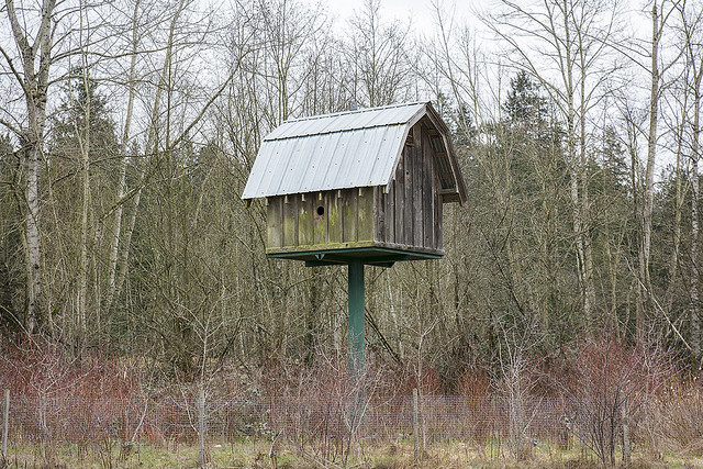 Barn Owl Birdhouse, Elgin  Park, Surrey, BC