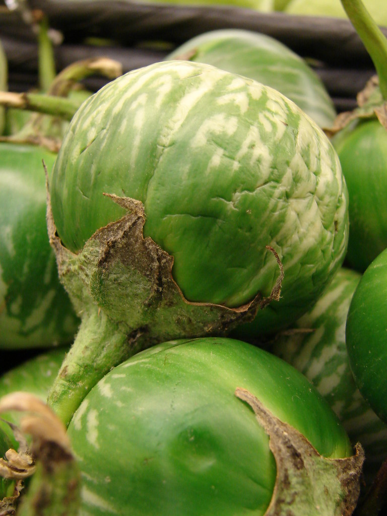 starr-070730-7864-Solanum_melongena-green_variety-Foodland… | Flickr